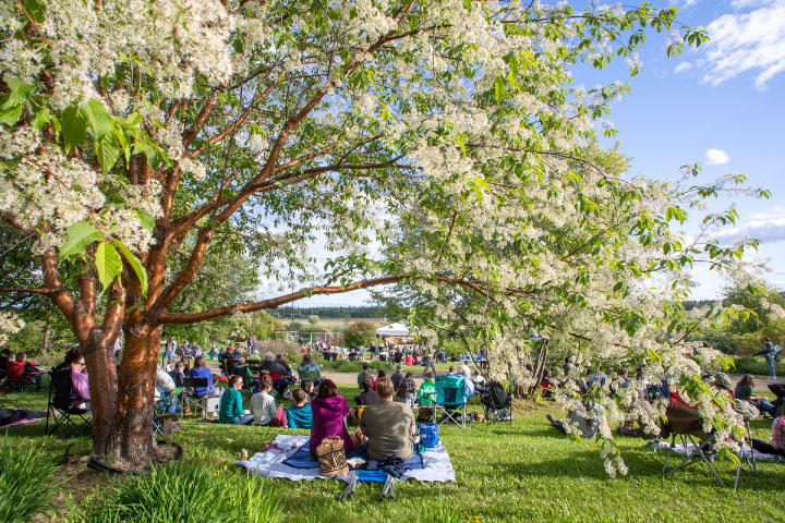 Visitors seated on the lawn for a concert at the Georgeson Botanical Garden