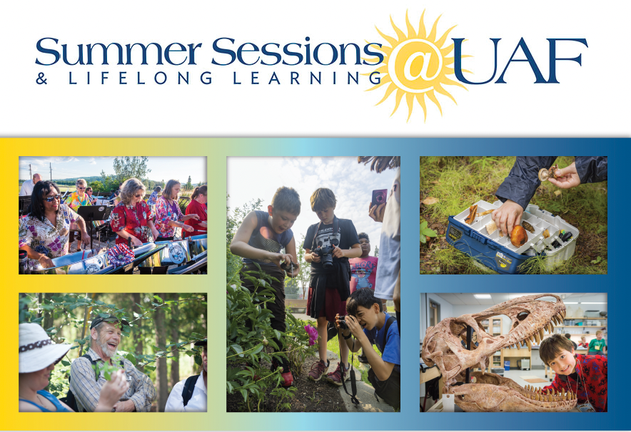 Collage of Summer Sessions activites