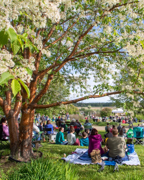 Audience seated on the grass and in lawn chairs for a summer concert at the Georgeson Botanical Garden