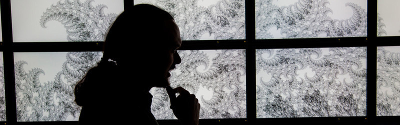 Orion Lawlor stands in front of a random fractal design projected on the bioinformatics powerwall.