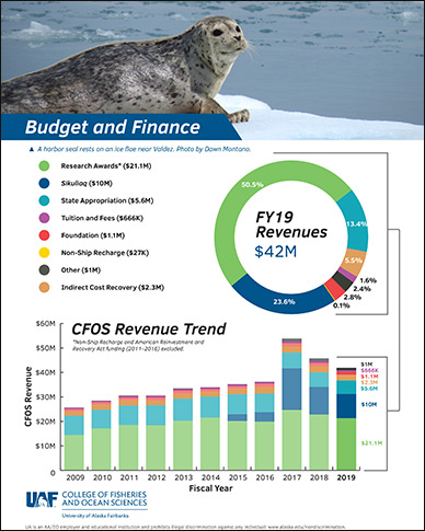 CFOS budget and finance flyer