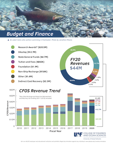 CFOS 2020 Budget and Finance flyer