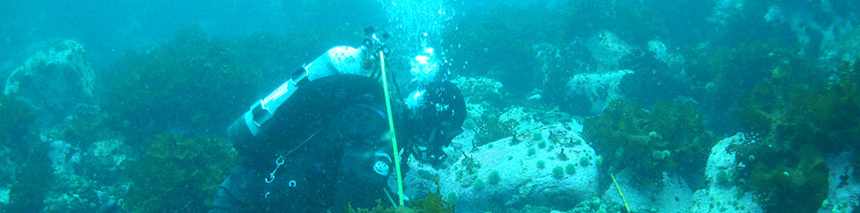 Scuba diver on ocean floor