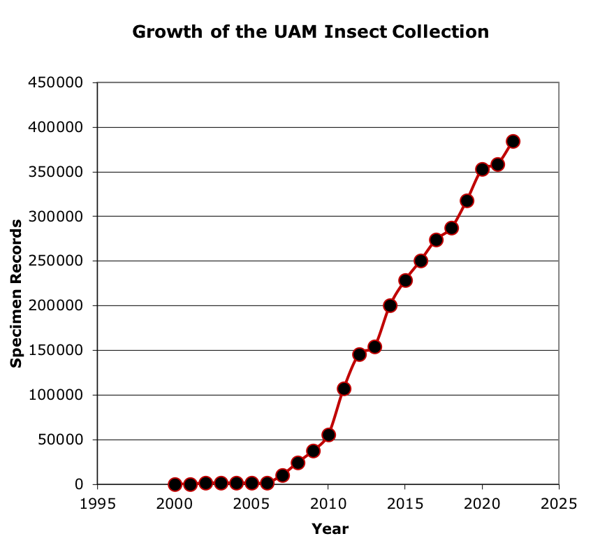 UAM Insect Collection Growth