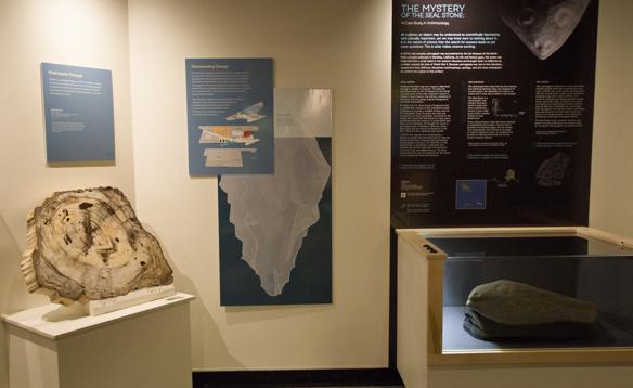 The seal stone is now on display in the Gallery of Alaska at the UA Museum of the North. Visitors to the museum’s Open House on Saturday, Jan. 23 can see it for the first time. Photo by Kelsey Gobroski
