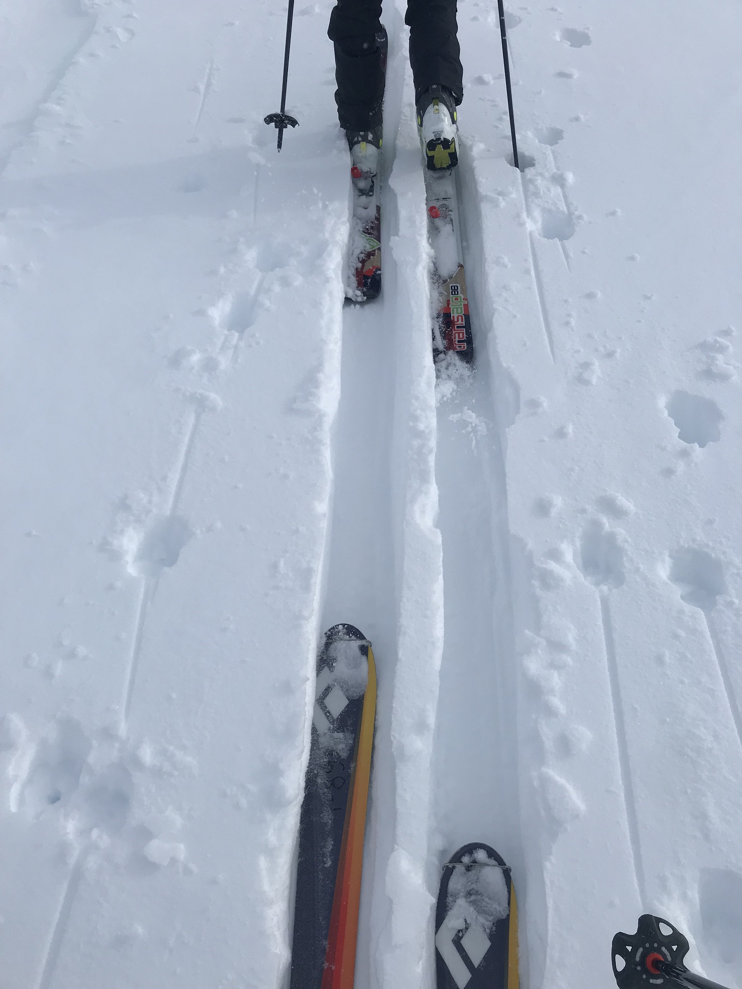 Following a ski trail