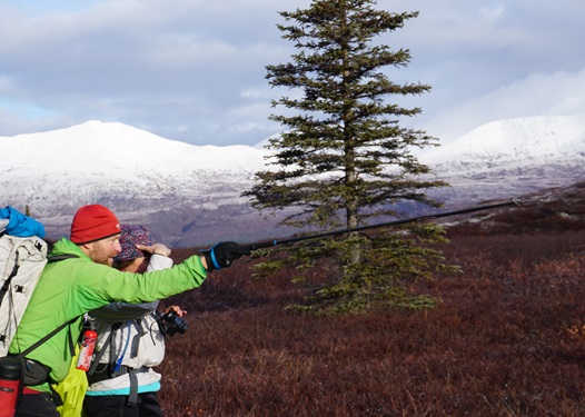 Jack River Autumn
