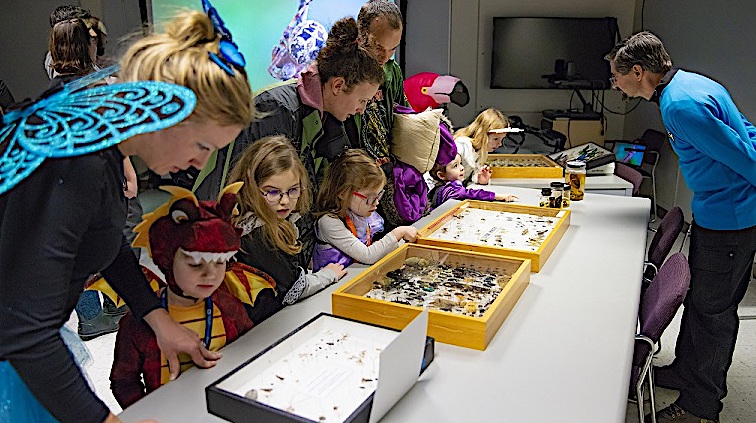 A group of children and adults dressed in halloween costumes, including a butterfly, dragon and flamingo, peer down at museum cases lined up on a series of tables in a dimly lit room.