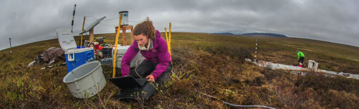 Ludda Ludwig, a UAF Ph.D. candidate transfers data from a climate recording station at a research site near the Kuparuk River on Alaska's North Slope