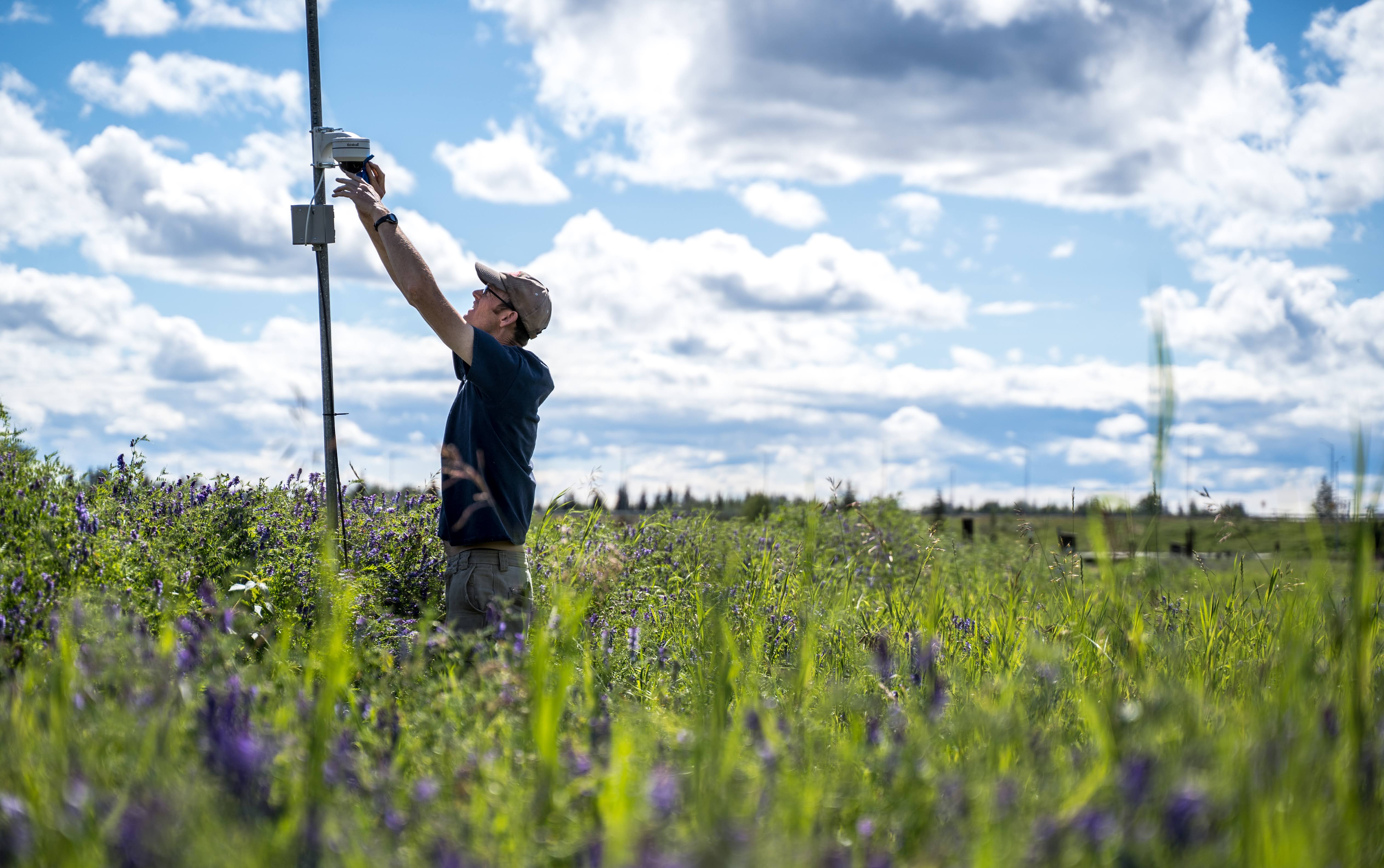 Man adjusts equipment in a field on a sunny day.