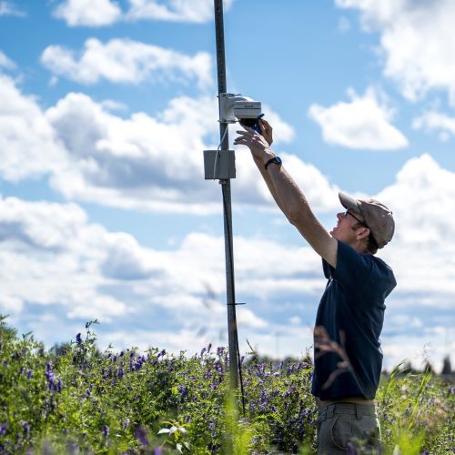 Man reaches to adjust metering equipment on a beautiful sunny day.