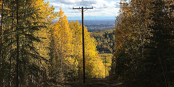 A transmission line runs between autumn-colored trees in Fairbanks, evoking an image of a broader view of the energy landscape. Photo by Elizabeth Dobbins/ACEP.