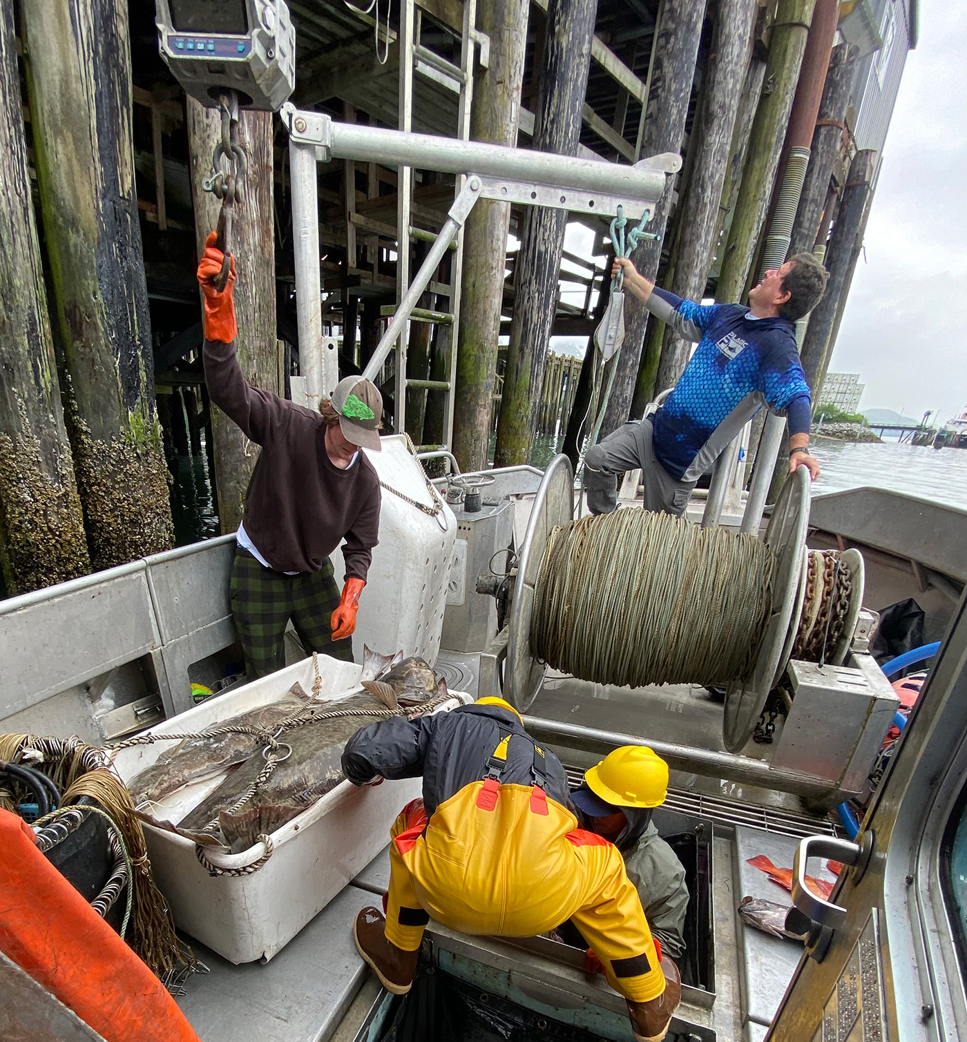 John Williams during a recent halibut offload in Cordova.