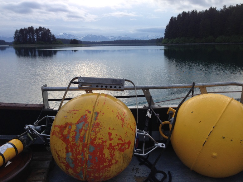 ACEP at Work: Yakutat Wave Assessment Project Update