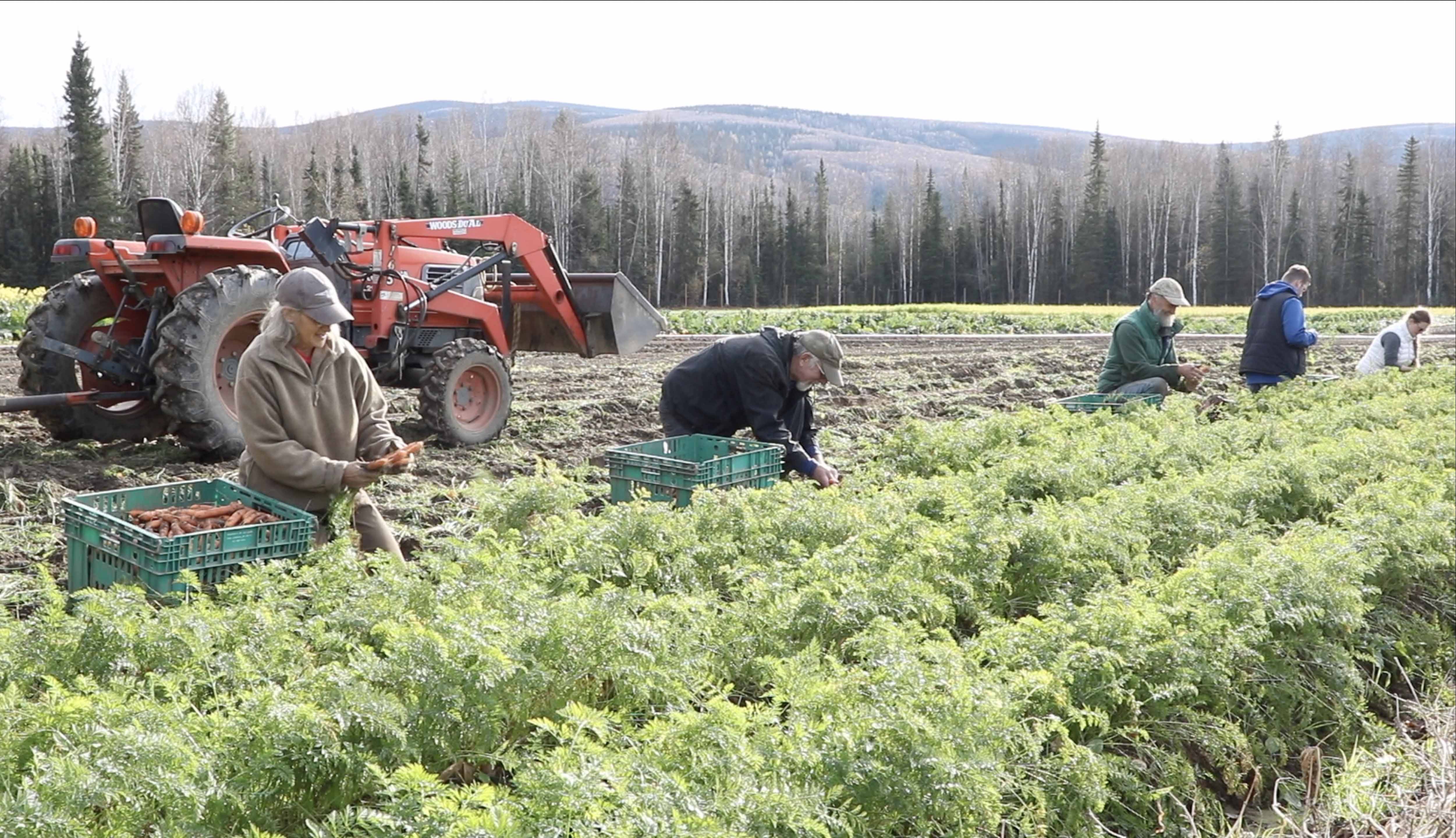 How Can Alaska Become More Food Secure?
