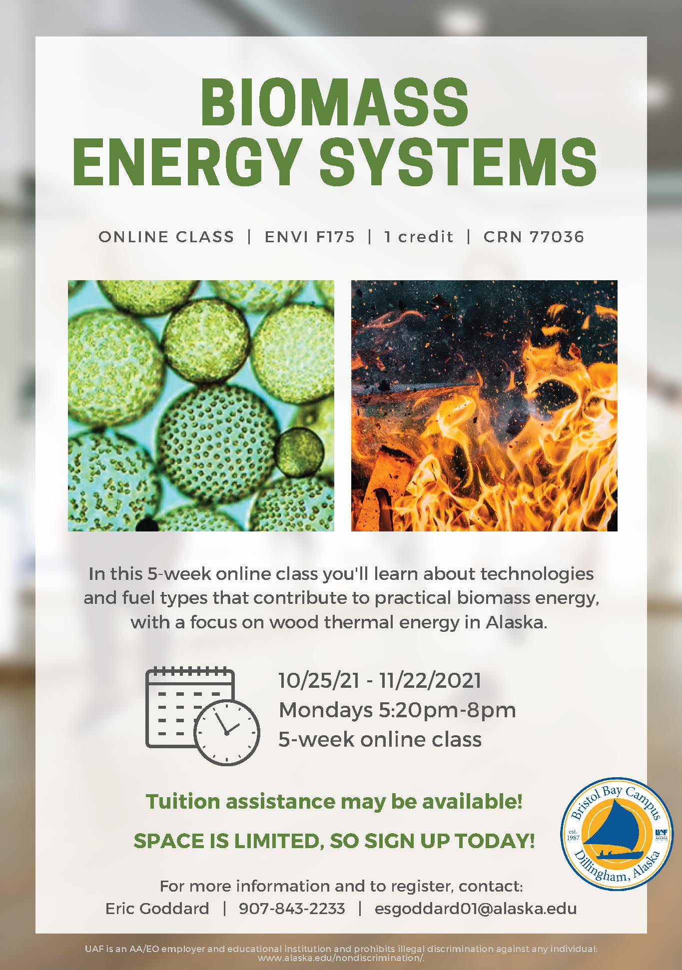 Warm Up with Biomass Energy Systems Class