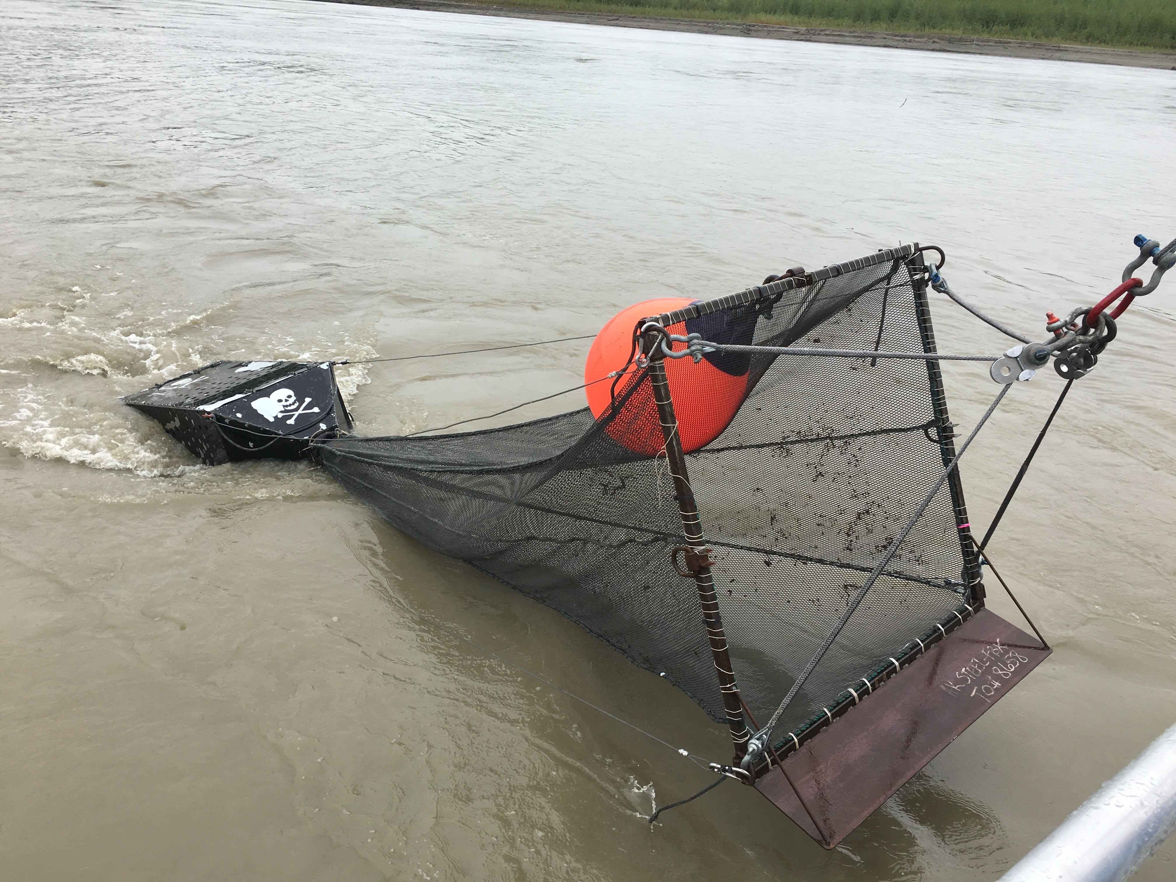 New Paper Explores Possible Fish Interactions with In-river Turbines