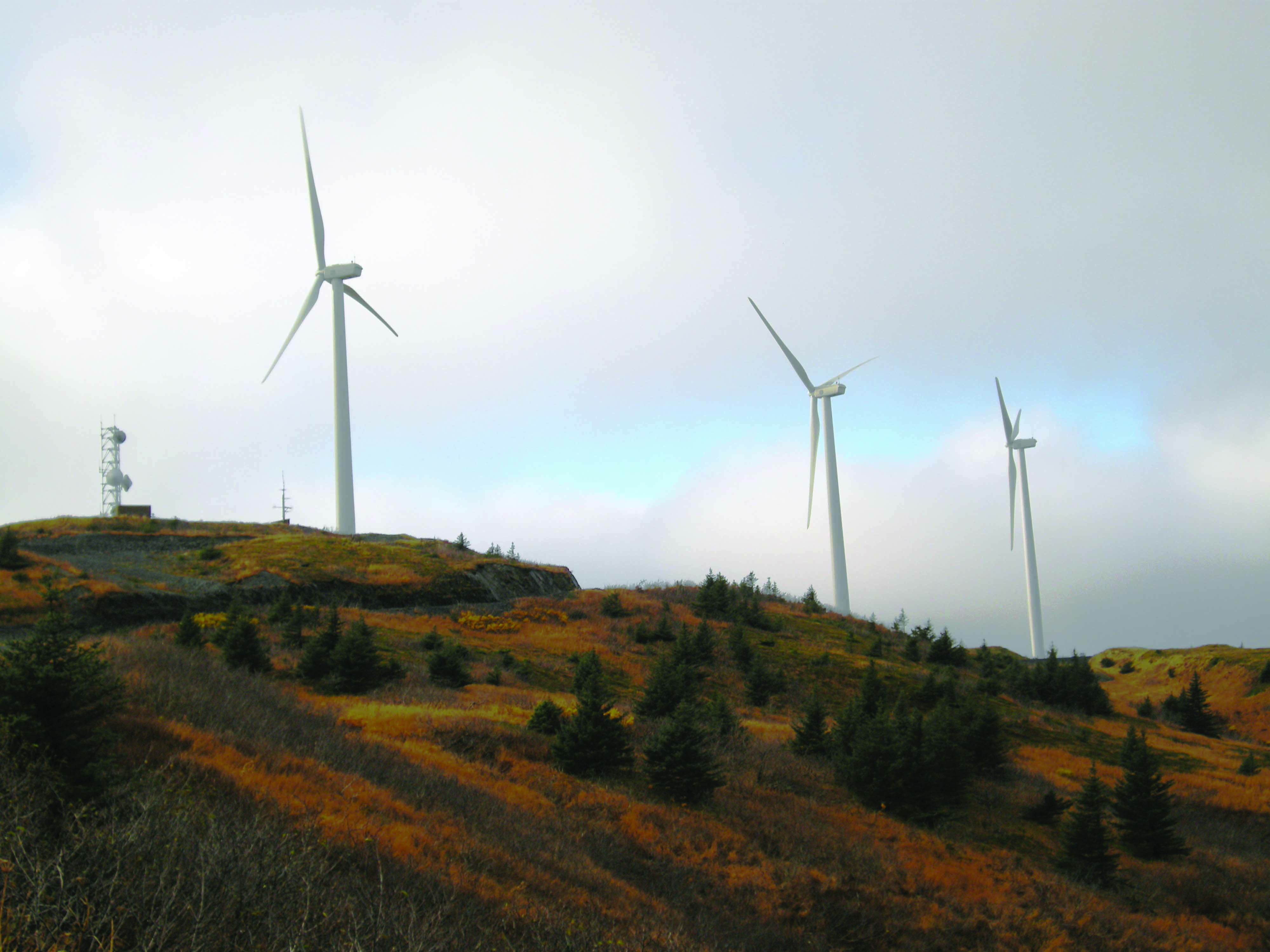 Working Group Attracts Wind Energy Stakeholders