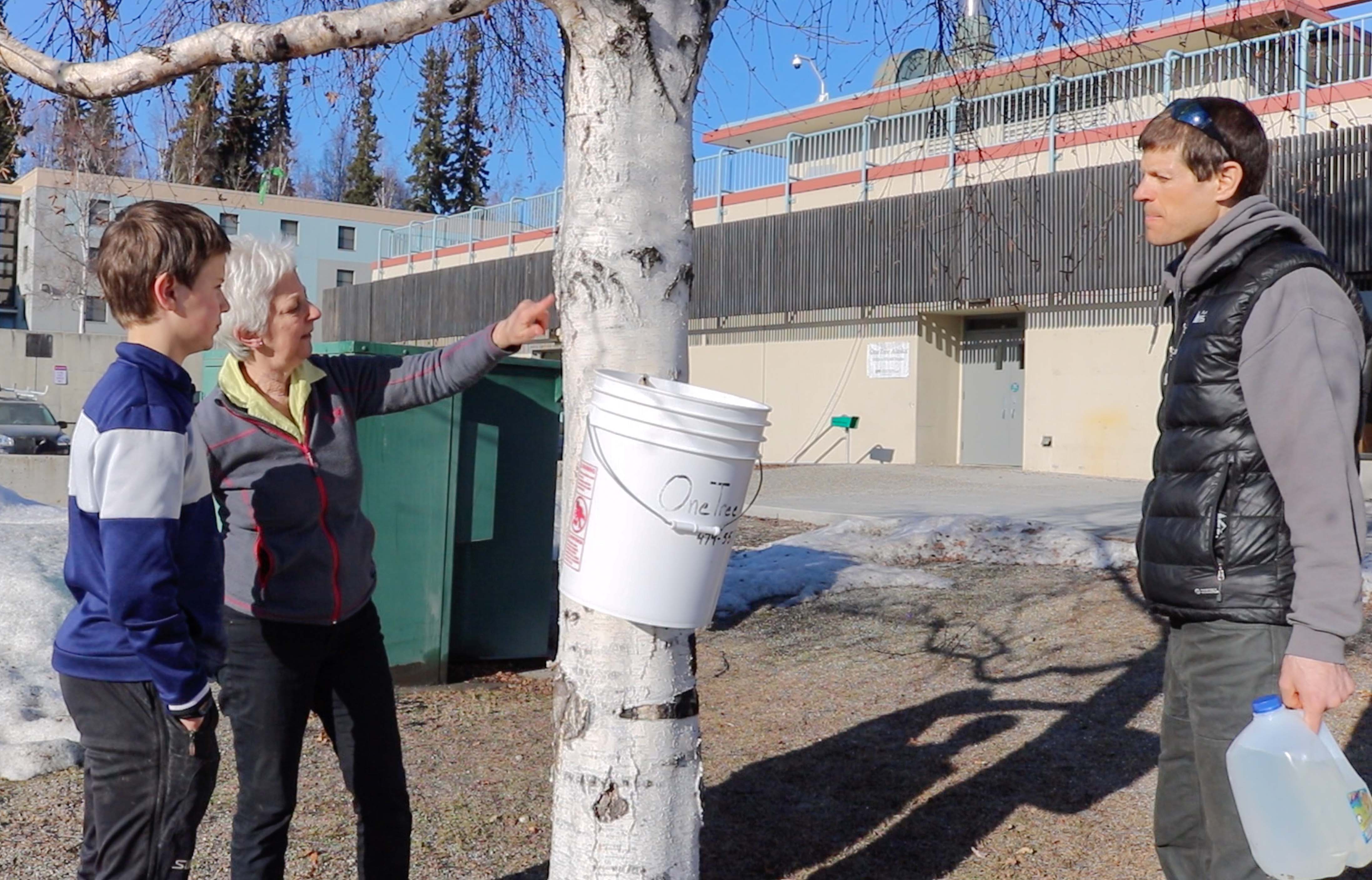 Award-winning Syrup Flows at Fairbanks Birch Sap Cooperative
