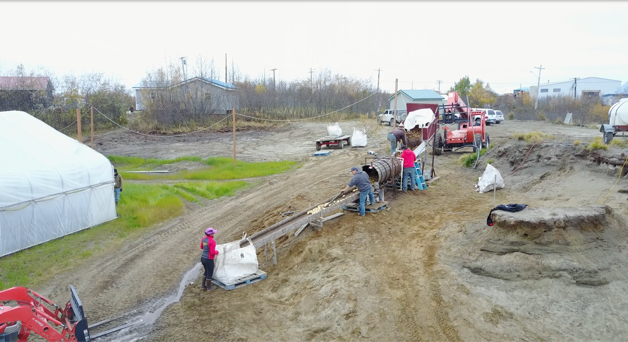 Video Showcases Bethel Farm as a Model for Future Remote Alaska Farms