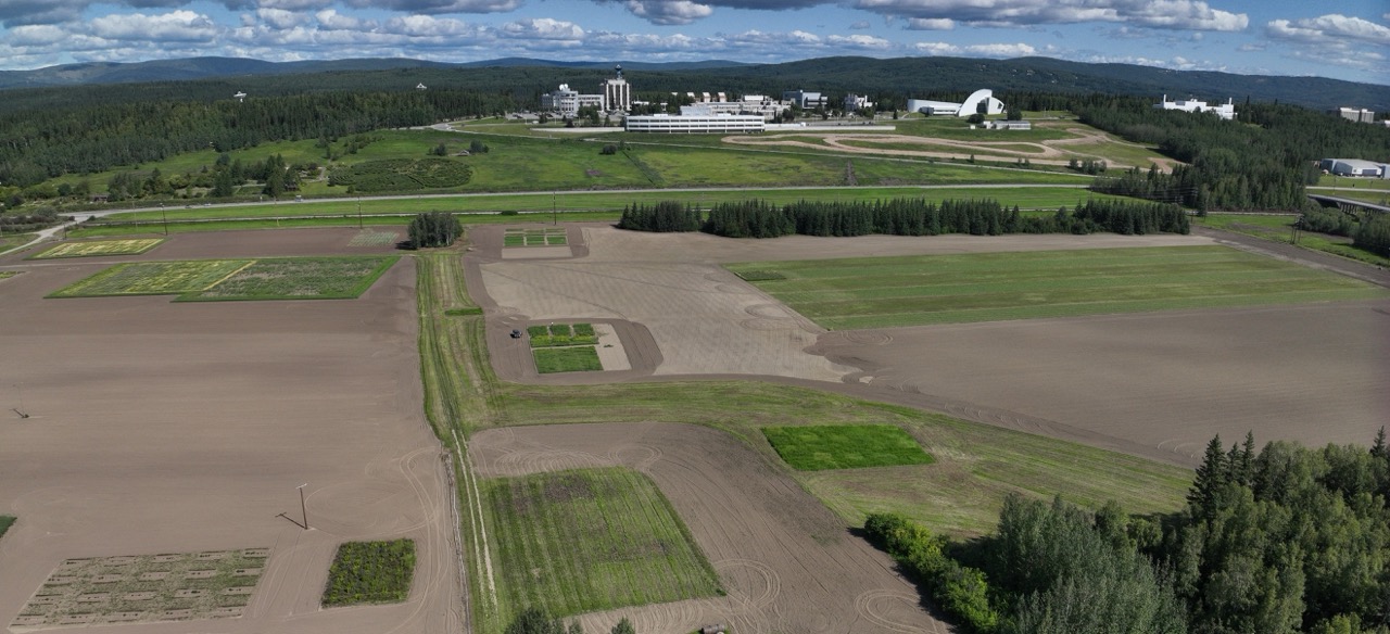 Agricultural and Forestry Experiment Station field