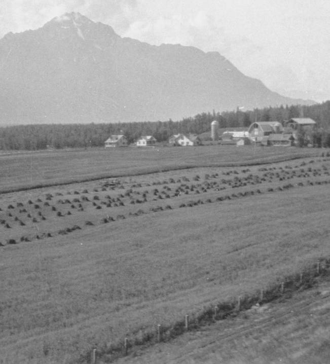 Black and white aerial view of the historical farm in Palmer