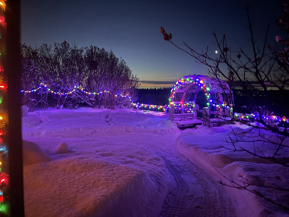 Georgeson Botanical Garden lights