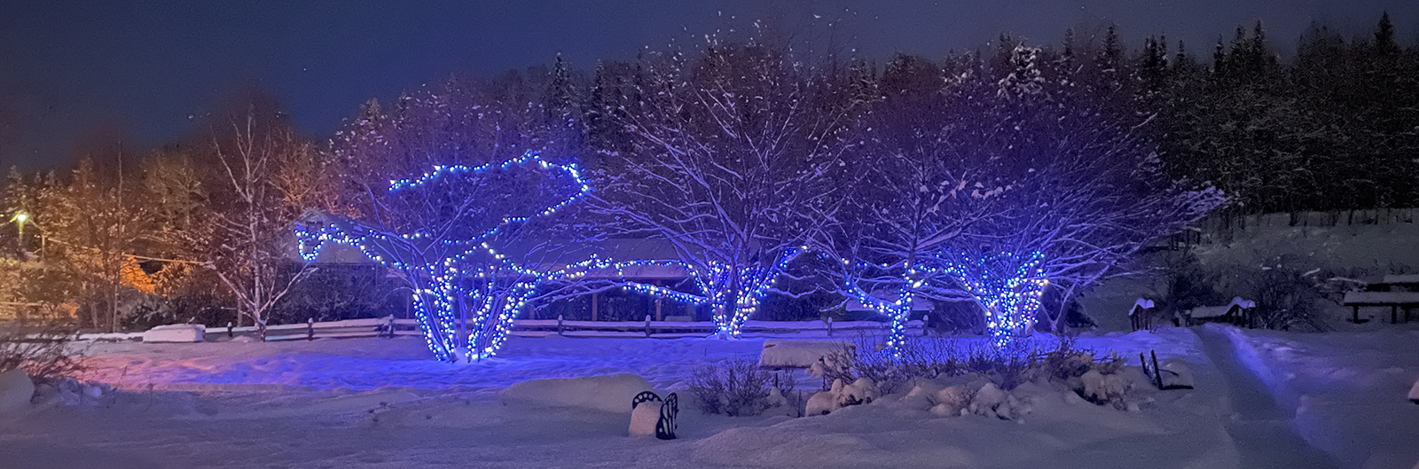 Georgeson Botanical Garden decorated trees