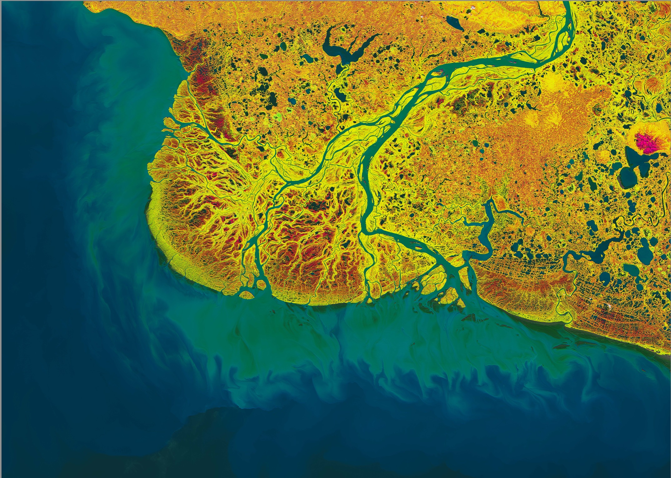  Satellite imagry of the Yukon-Kuskokwim Delta, where the 2 largest rivers in Alaska meet the Bering Sea displayed in glowing yellows, reds, and dark blues and greens