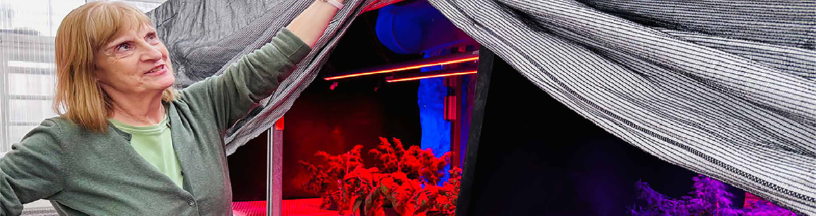 Woman standing in front of tent with plants