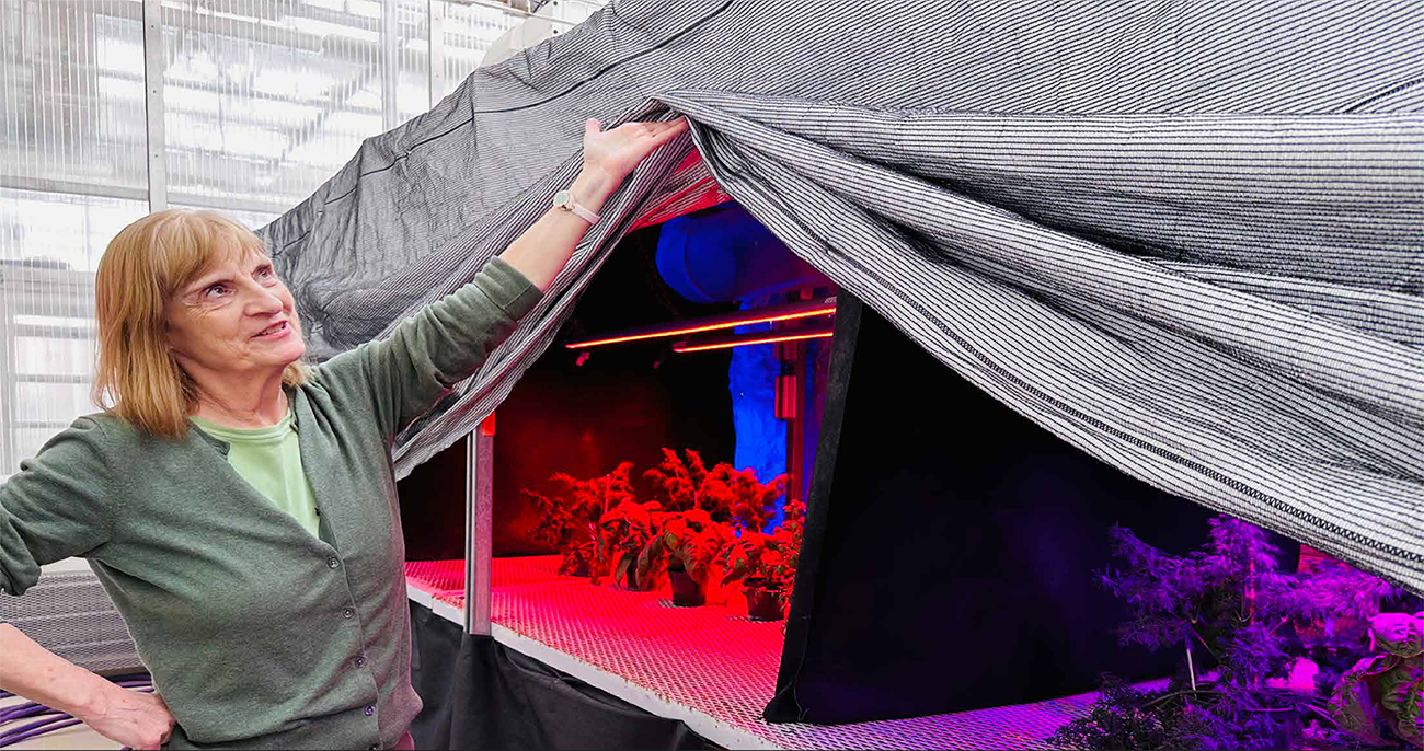 Woman standing in front of tent with plants