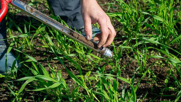 Hand holding a tool collecting soil