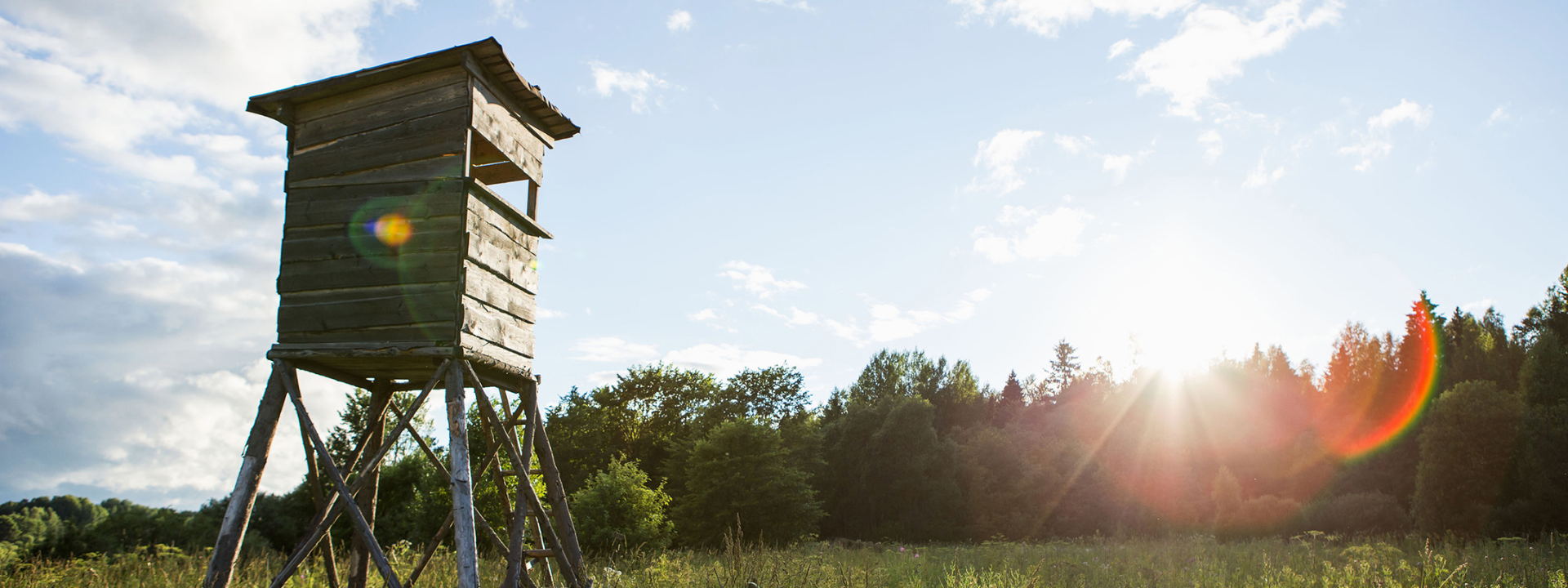 Hunting lodge in an open field. Image courtesy of Canva