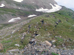 Ground cracks and associated downslope mass movement developed on Holocene lateral moraine of the west fork of the Chistochina Glacier