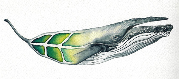 A leaf-whale hybrid image where the left side is a green leaf that transitions into the upper half of a whale as you move right