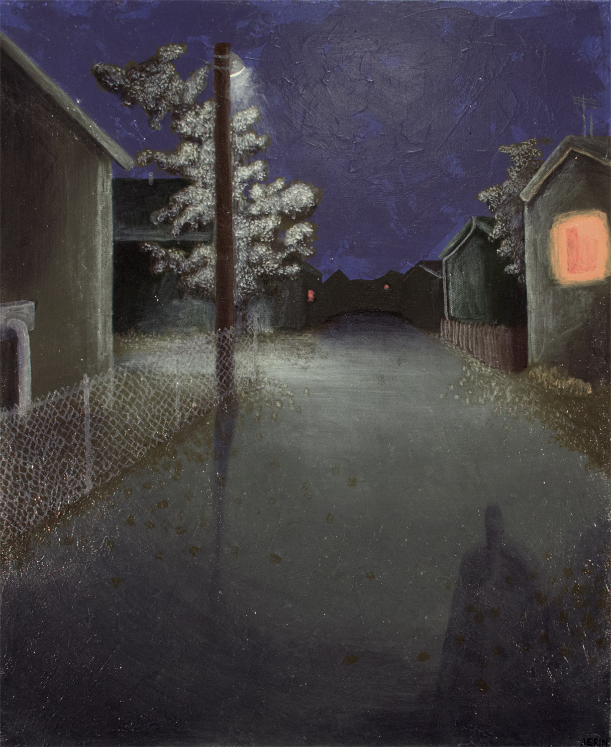 a quiet night time image of a side street with houses, some with their windows lit, courtesy of the artist