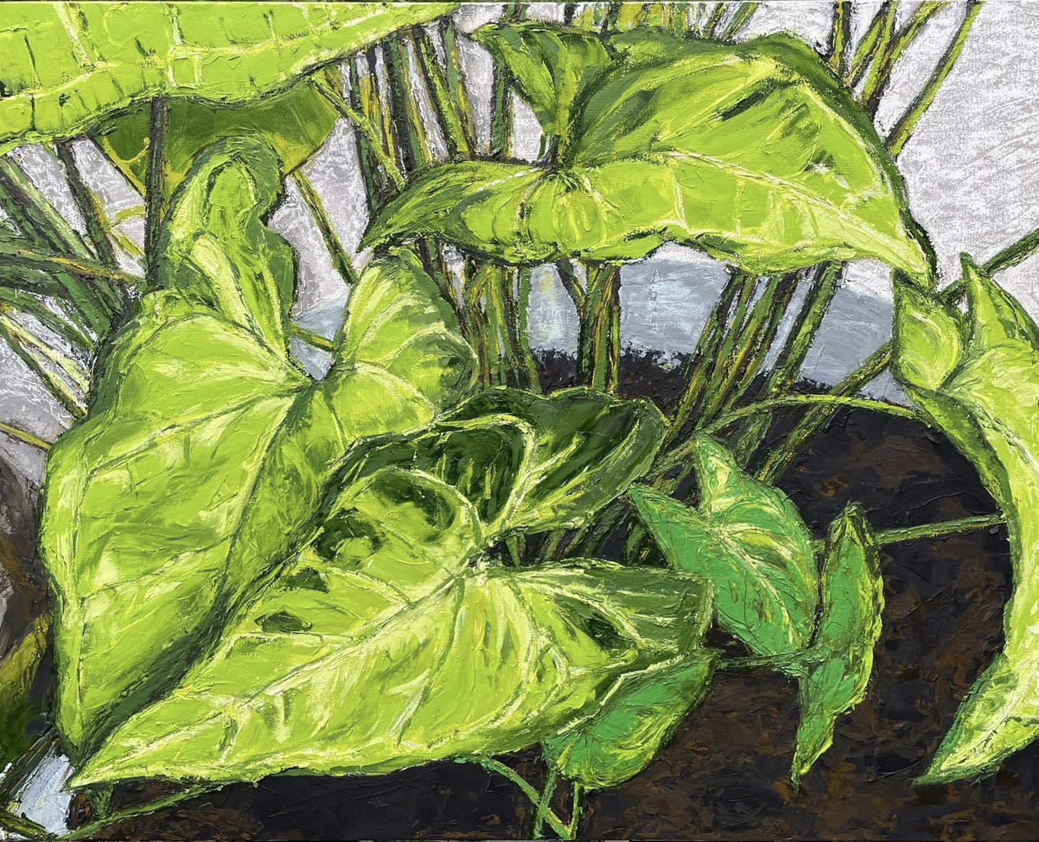 A painting of the green leaves of a house plant. Image courtesy of Allison Juneau