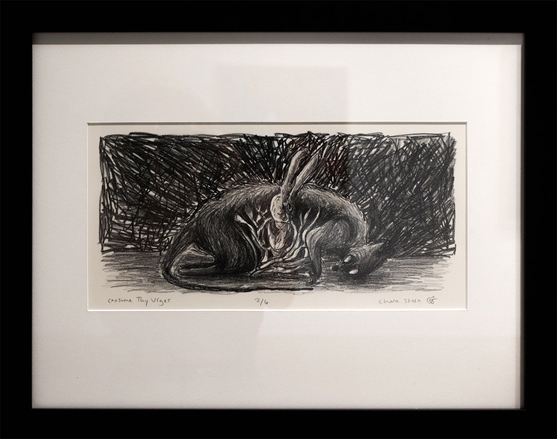 Black and white framed lithograph of a rabbit standing in the decaying body of an animal, courtesy of the artist 