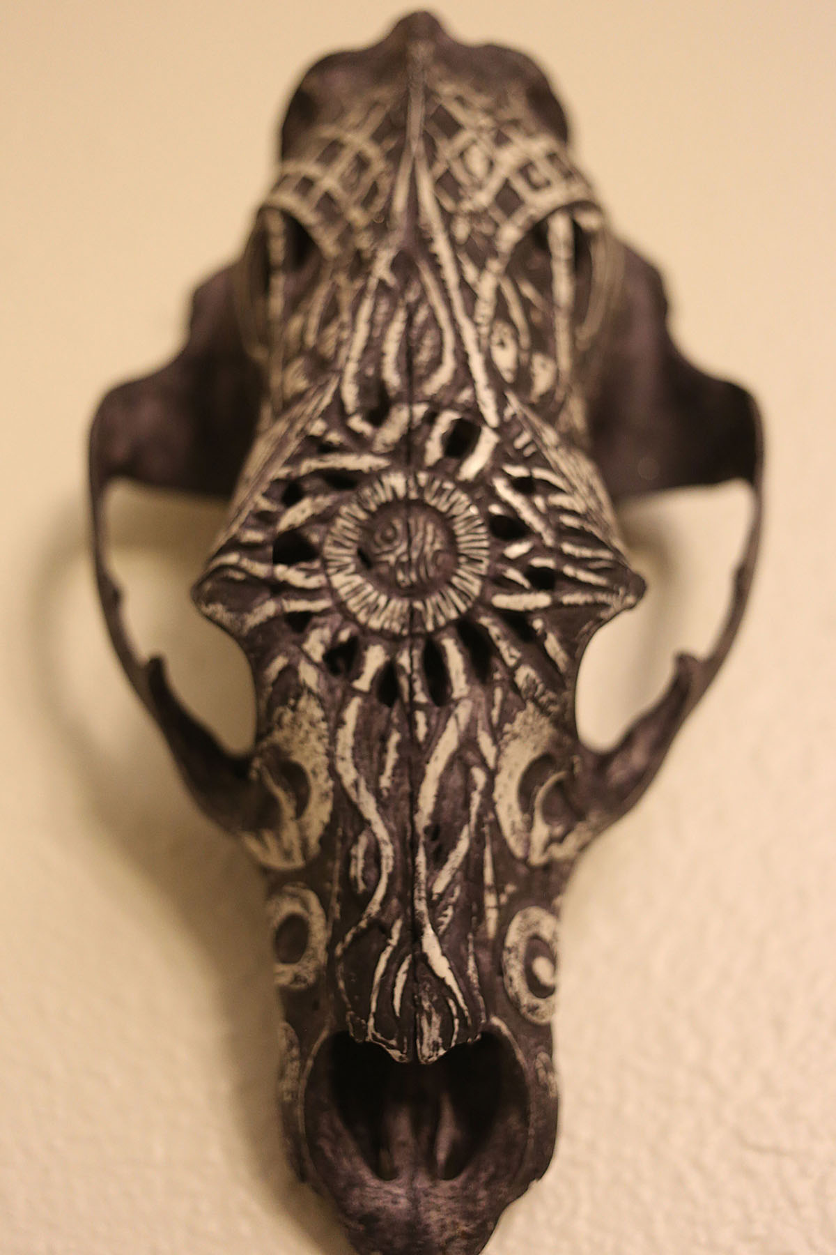 Carved black Bear skull. Image courtesy of Indi Walter