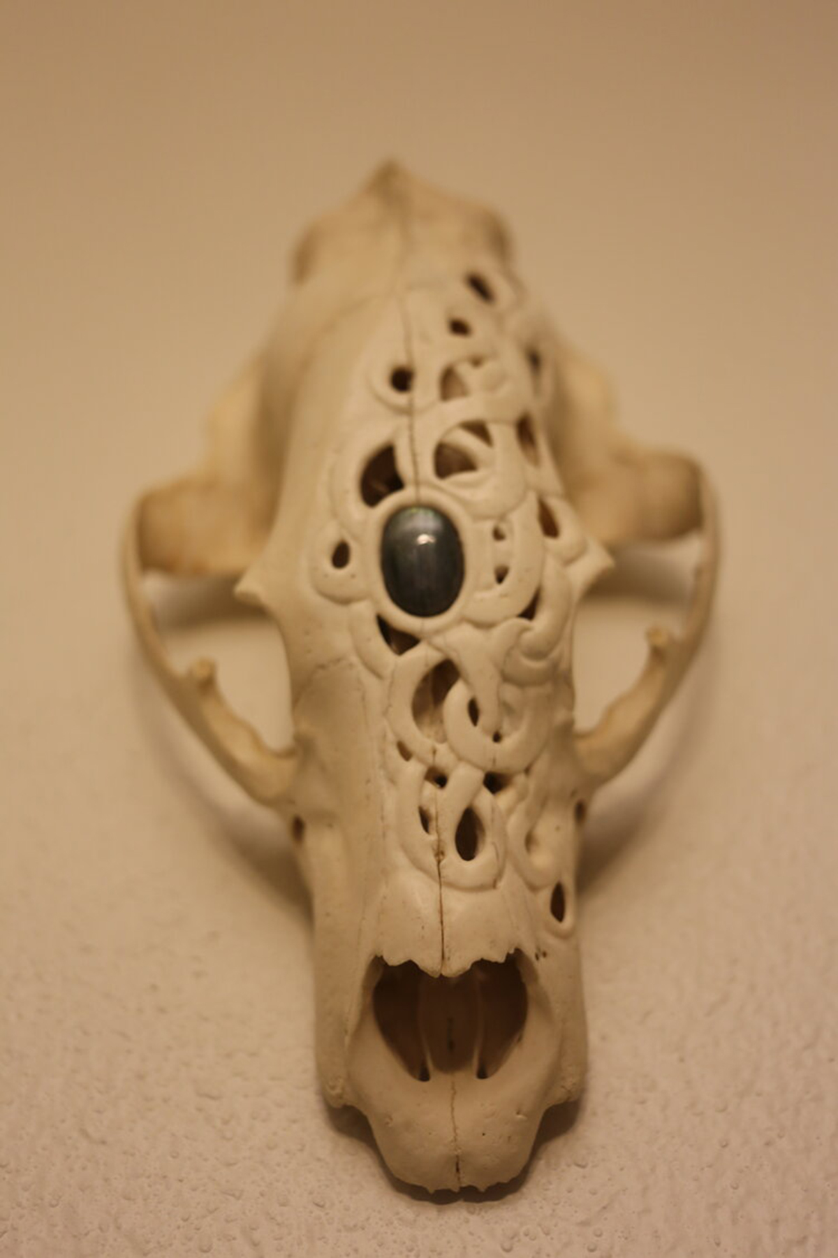 Carved skull with small inlaid stone. Image courtesy of Indi Walter