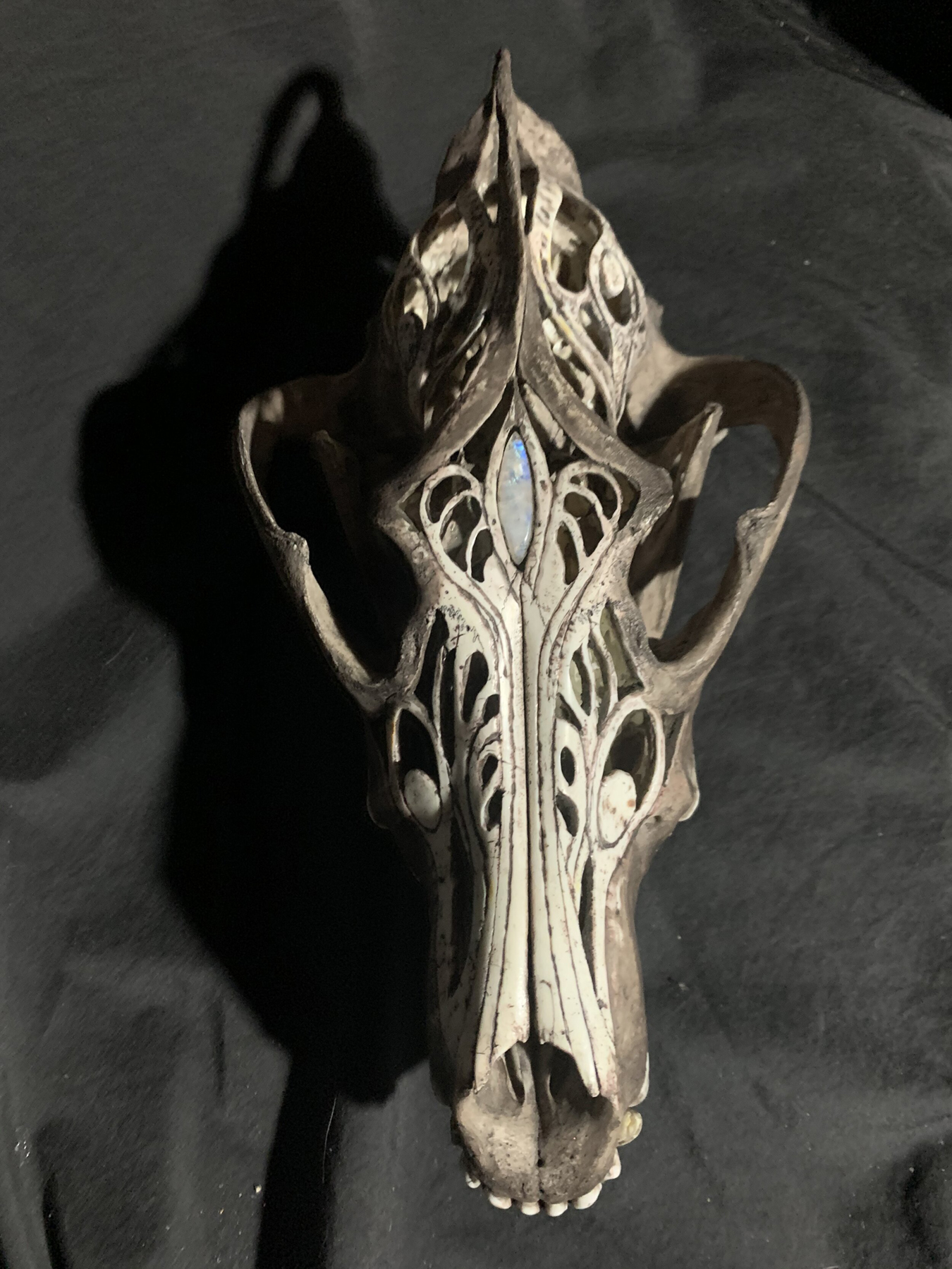 Carved wolf skull with an inlaid moonstone. Image courtesy of Indi Walter