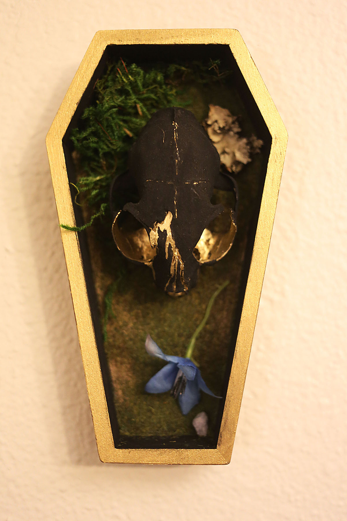 Coffin housing animal skulls, moss and fungus adorned with alocohol ink and acrylic paint. Image courtesy of Indi Walter