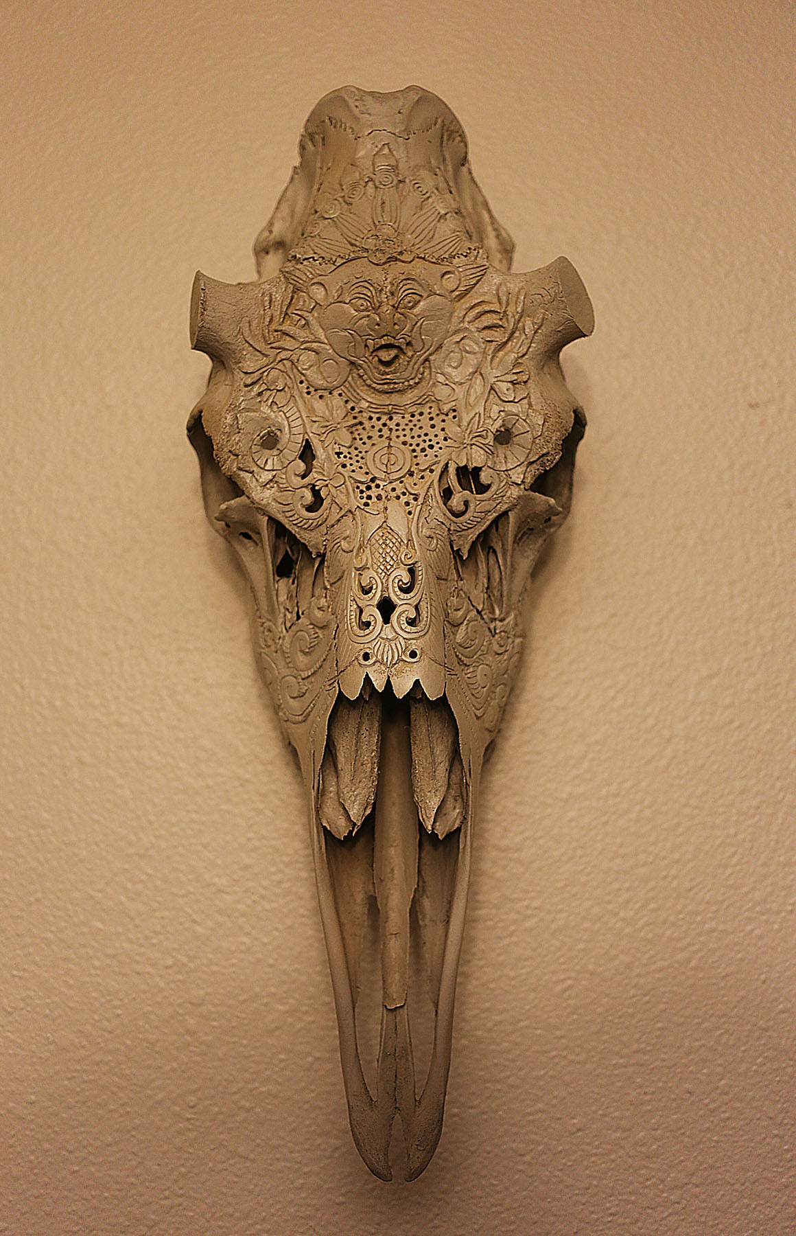 Carved moose skull. Image courtesy of Indi Walter