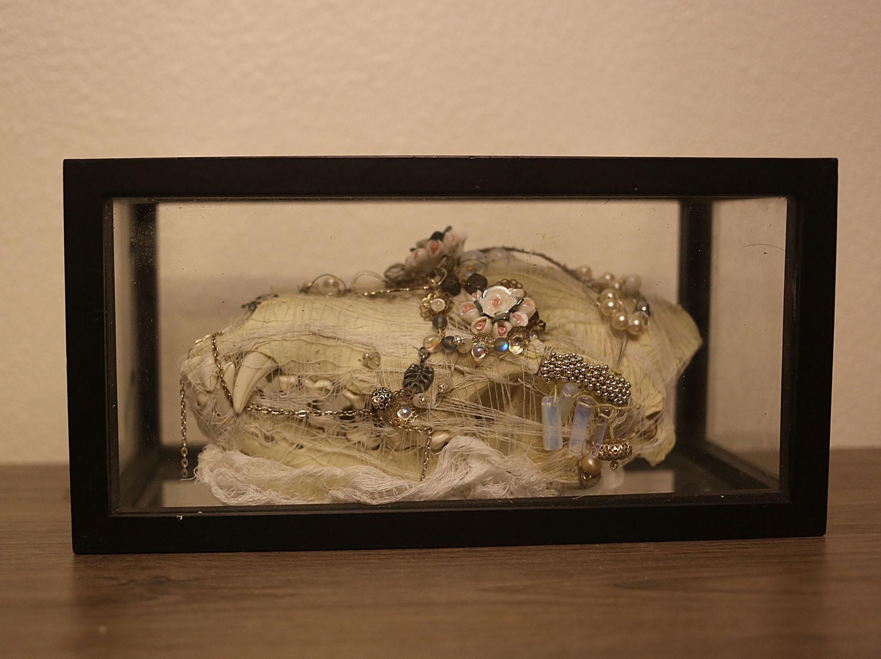 Carved wolf skull adorned with cheesecloth, silver wire, pearls and beads in a glass case. Image courtesy of Indi Walter