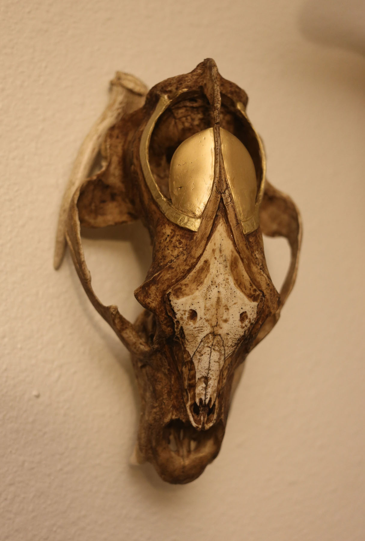 Black bear skull adorned with a caribou antler and alcohol ink. Image courtesy of Indi Walter