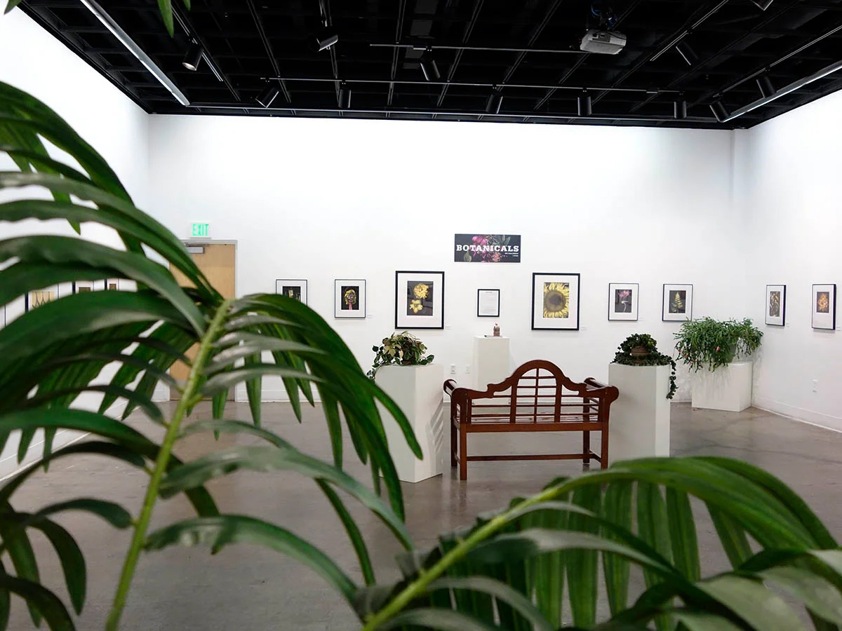 Photos hang and plants adorn the UAF Art Gallery on the opening night of the Botanicals exhibition | image courtesy of LJ Evans