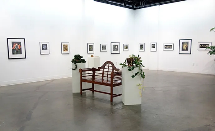 Photos hang and plants adorn the UAF Art Gallery on the opening night of the Botanicals exhibition | image courtesy of LJ Evans