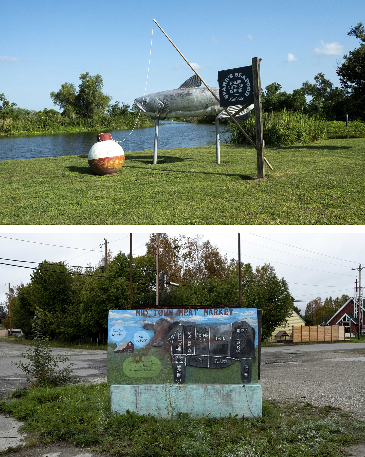 Fish statue and cow silhouette in Louisiana and Alaska, courtesy of the artist