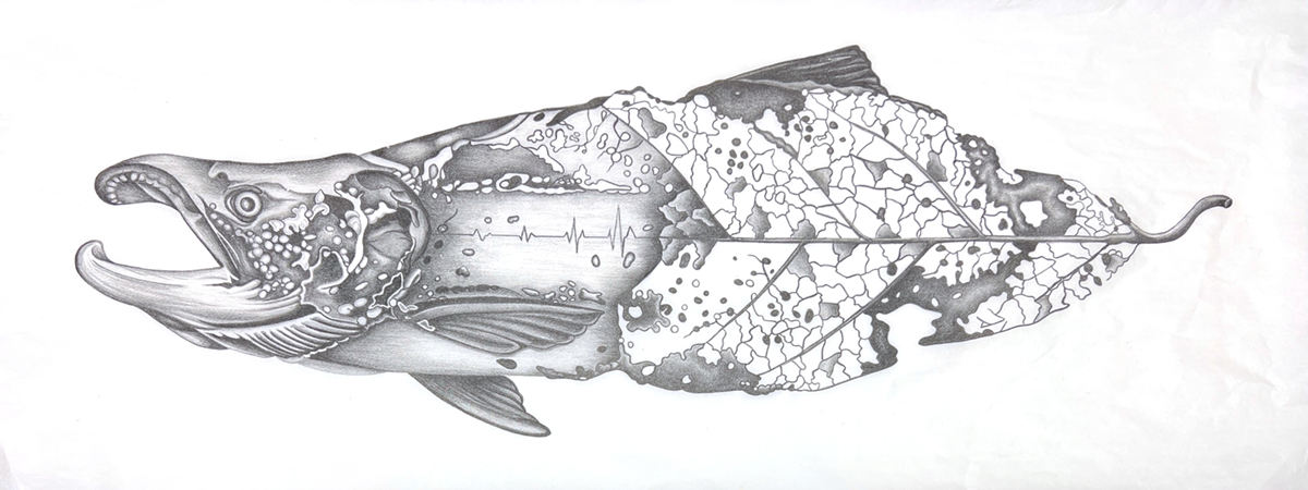 Black and white lithograph print of a salmon/decaying leaf hybrid by Susan Andrews