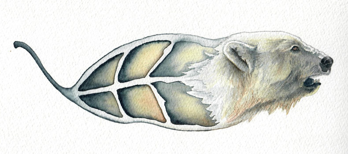 polar bear/leaf hybrid watercolor painting by Susan Andrews